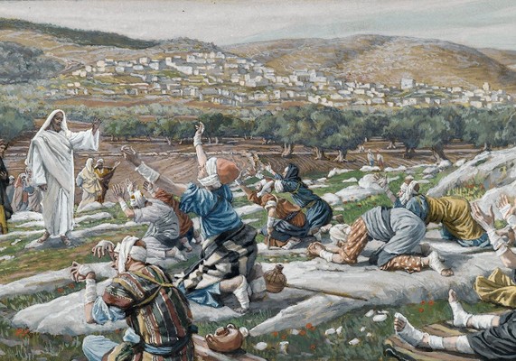 28. nedjelja kroz godinu