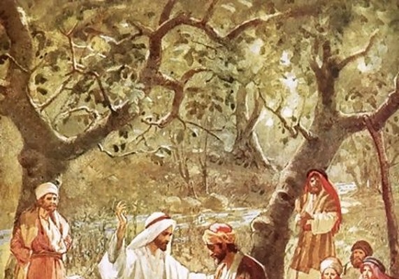 24. kroz godinu