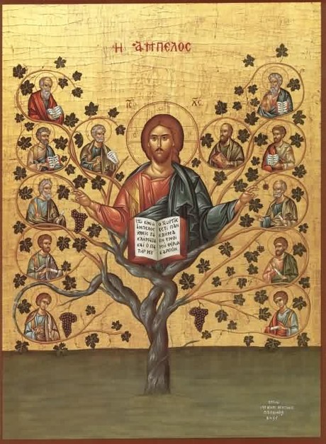 5. VAZMENA