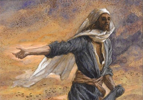 15. nedjelja kroz godinu